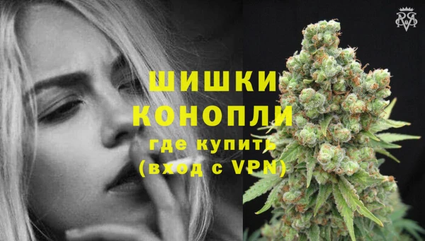 крисы Баксан