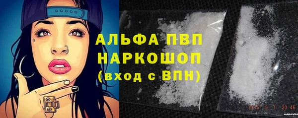крисы Баксан