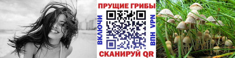 Галлюциногенные грибы Psilocybine cubensis  MEGA онион  Усинск 